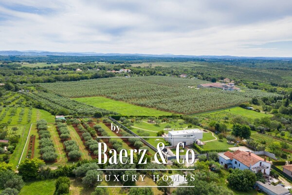 photo 88 Croatia, Istria, Umag: Stunning Villa with pool surrounded by olive groves