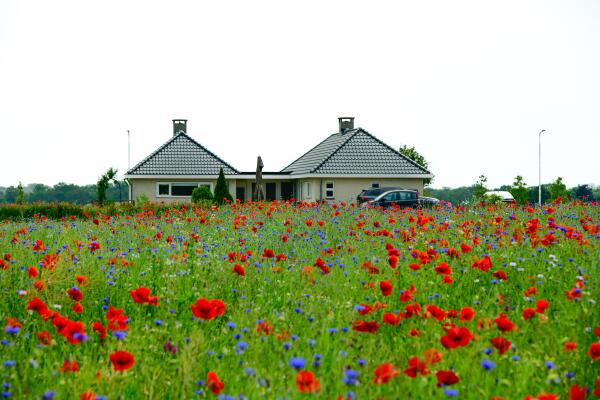 photo 29 Diepenheimseweg 25 a