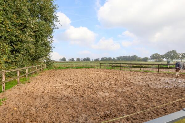 photo 60 Waatselaarstraat 3