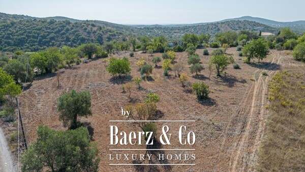 photo 9 Beautiful luxury home in Santa Catarina da Fonte do Bispo, Countryside