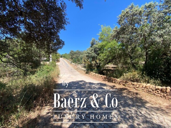 photo 5 Beautiful luxury home in Santa Bárbara de Nexe, Countryside