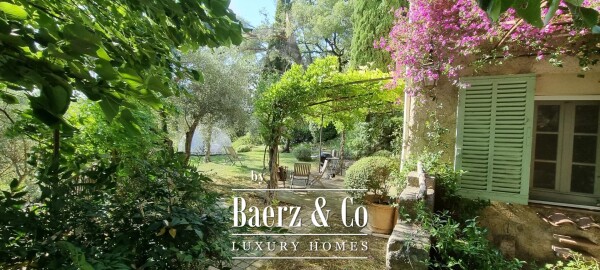 photo 13 Estate - over 6 ha of land with olive trees