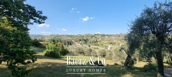 photo 14 Estate - over 6 ha of land with olive trees