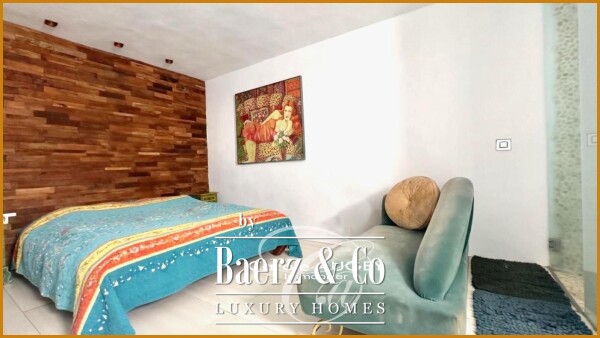 photo 14 house with sea view in Ibiza