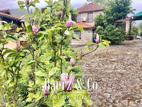 photo 2 Wonderful farm near the Vouga River