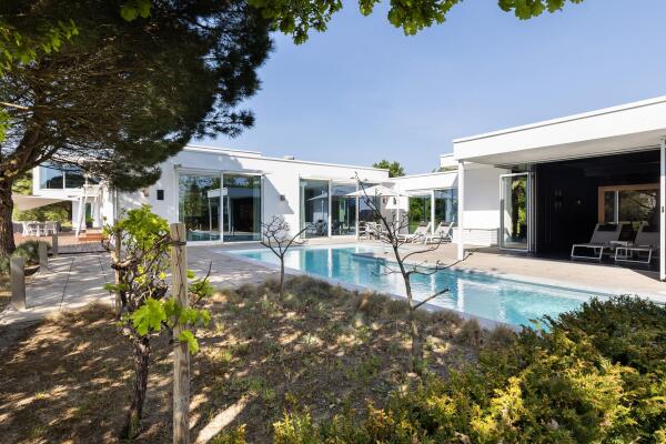 photo 2 Waterlelie 15