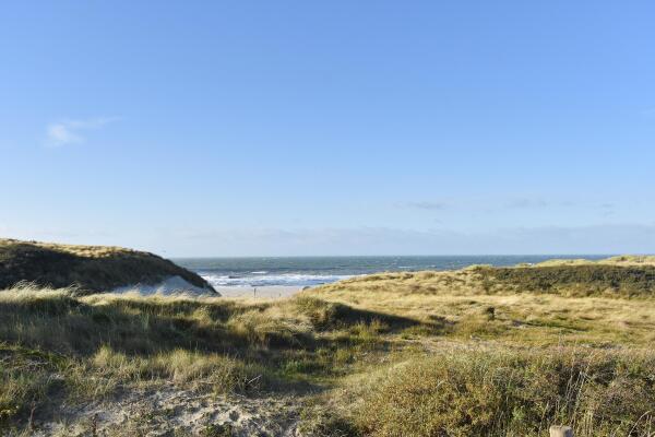 photo 55 Hellingkade 82