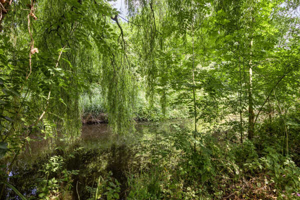 photo 27 Van de Veldelaan 966