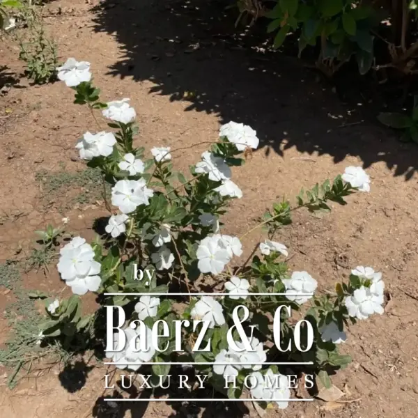 photo 17 #1154 3 bed Luxury Villa with Private Beach Near El Gouna – Best Investment in the Red Sea