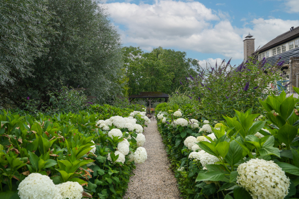photo 53 Leendertdijk 7