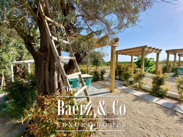 photo 6 Quinta da Janela Azul