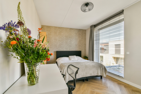 photo 18 Werf van Gips 708