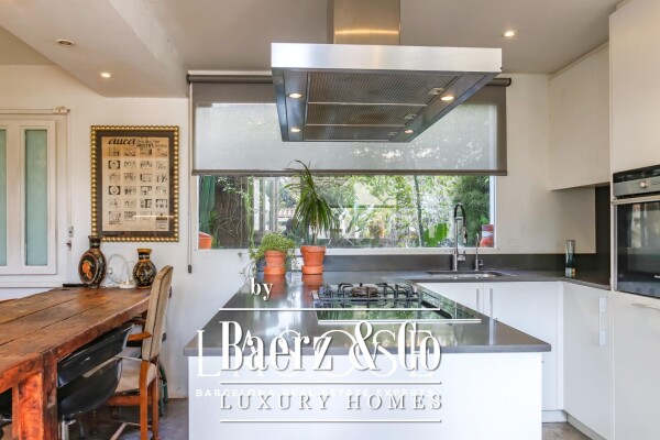 photo 11 Sant Pere de Ribes, Los Viñedos