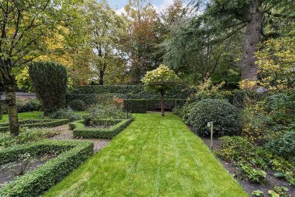 photo 65 van Brederodelaan 5