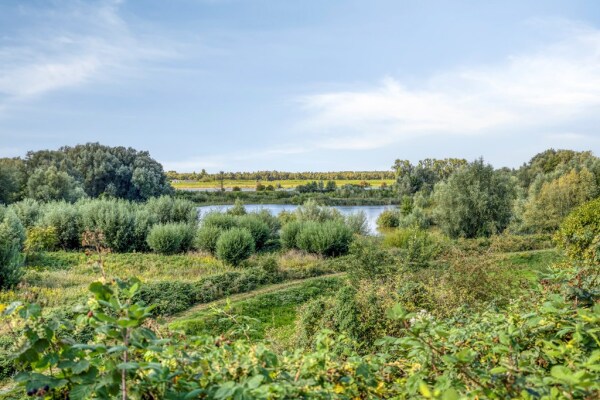 photo 53 Utrechtsestraatweg 31