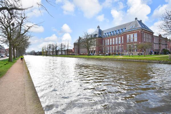 photo 2 Oostplantsoen 100