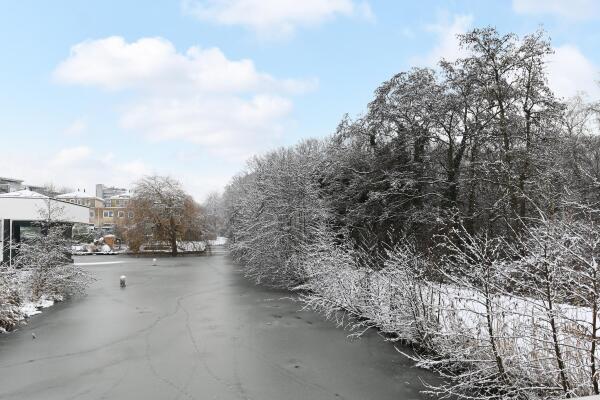 photo 56 Druivenmuur 11