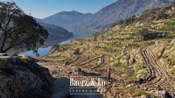 photo 18 Douro Riverfront Almond Estate