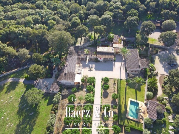 photo 3 Exclusive Wine Estate with Bodega, Olive Grove and 10 Hectares of Private Forest