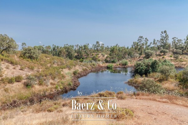 photo 21 Beautiful luxury home in Serpa (salvador e Santa Maria)