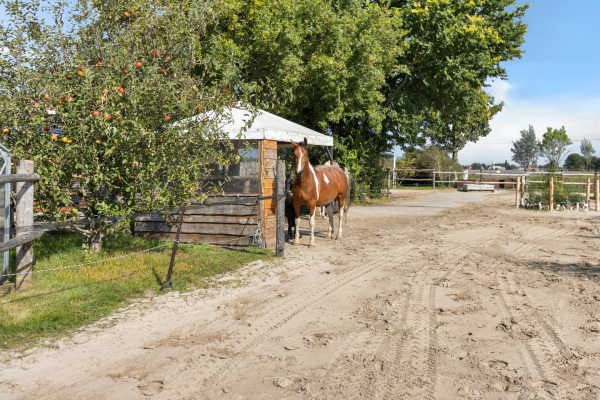 photo 13 Straatweg 3