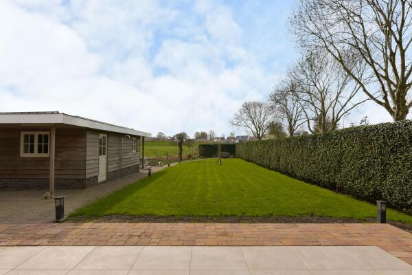 photo 45 Timotheegras 13