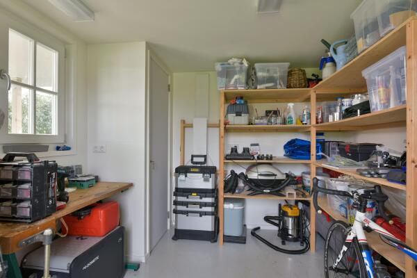 photo 34 Timotheegras 13