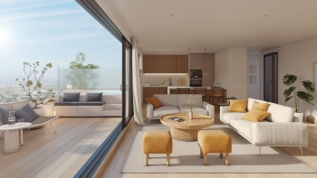 Compact penthouse with efficient layout and private terrace