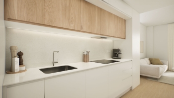 Compact penthouse with efficient layout and private terrace