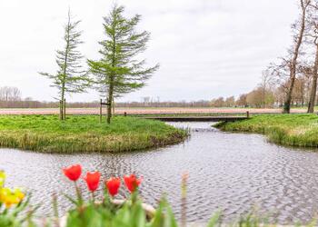 LISSE
